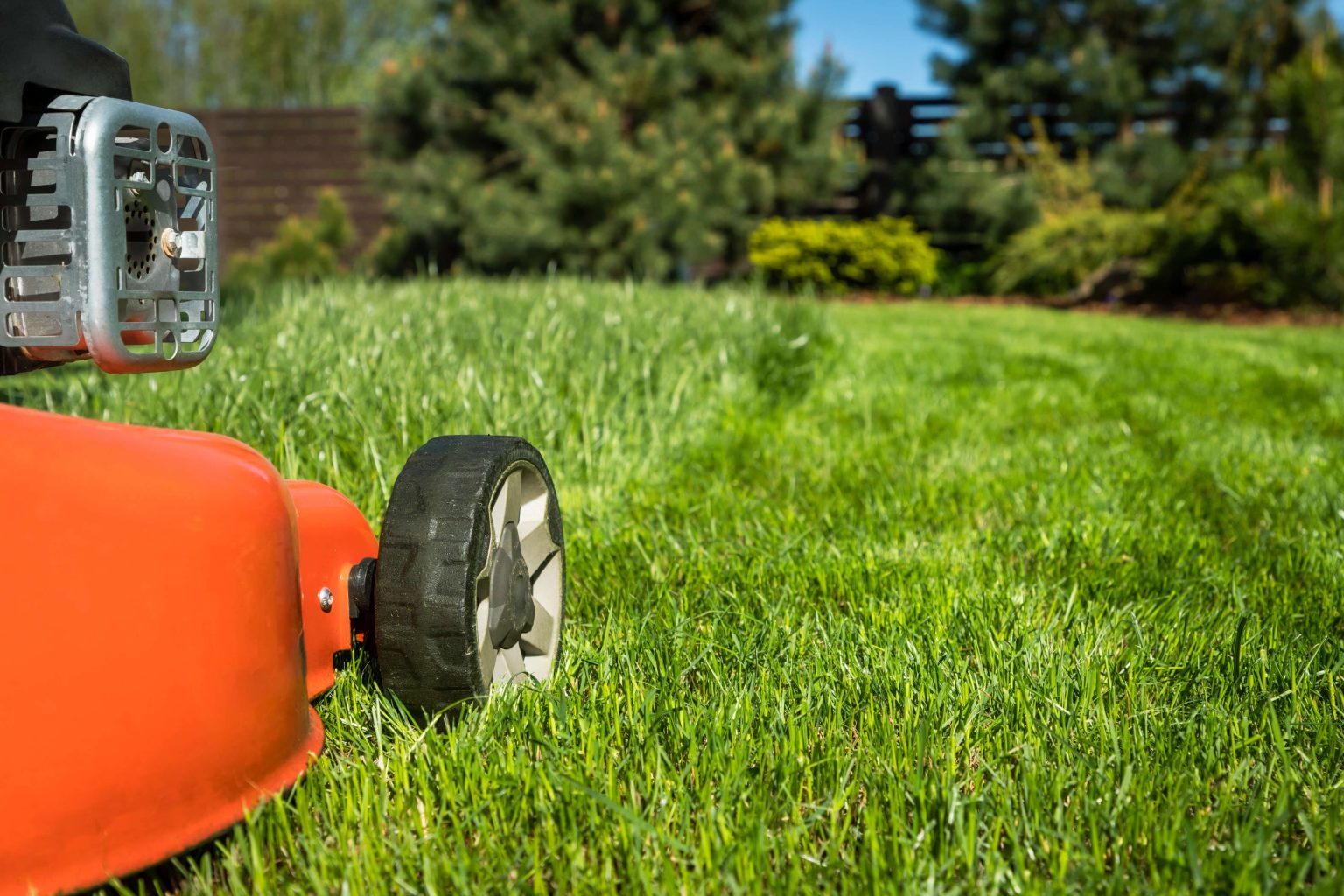 Grass Cutting
